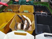 IMG_20200414_101151