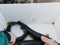IMG_20220328_091312