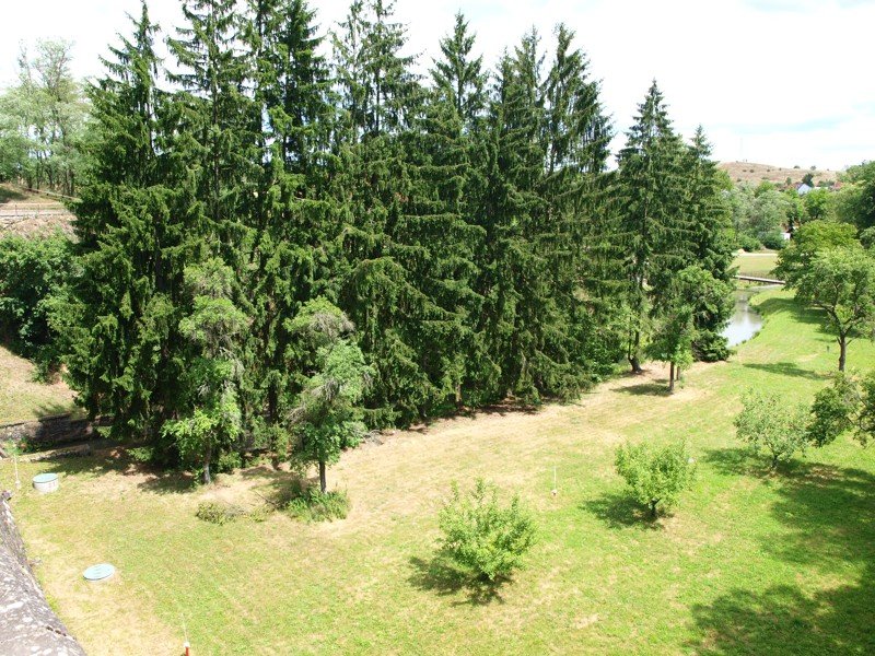 p6220029