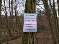 Rybník pod lipami - revír 461 232 - Jevišovka 3A