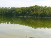 p1040320