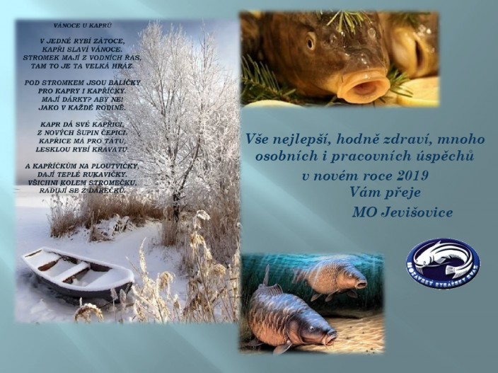 vanoce 2019